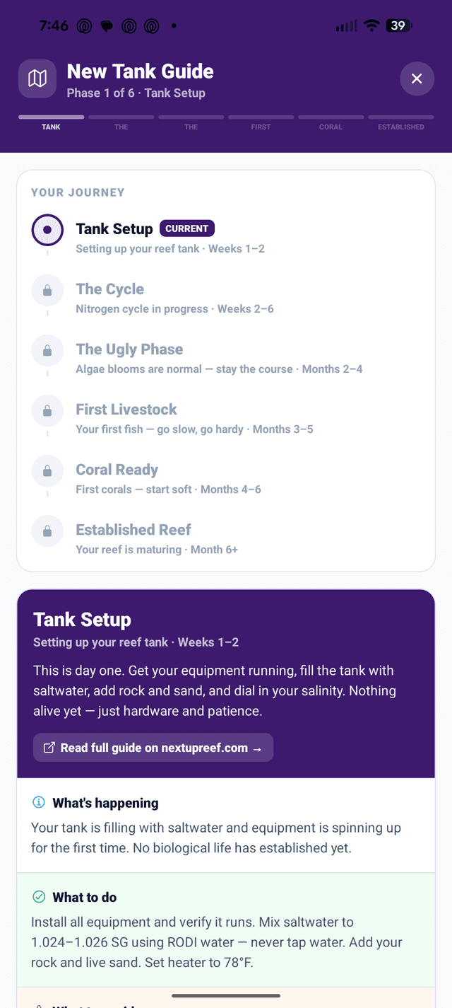 NextUpReef New Tank Guide showing Phase 1 Tank Setup with 6-phase journey timeline and What's happening section